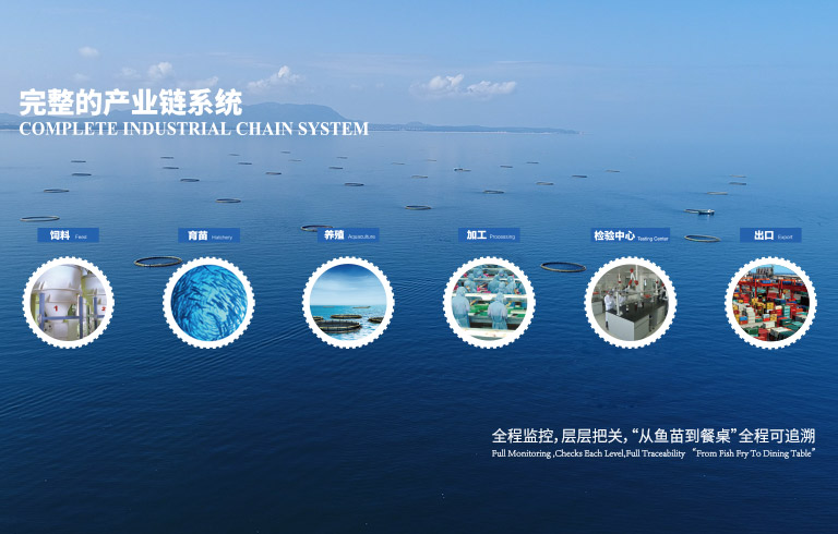 草莓视频免费在线观看品質手機banner