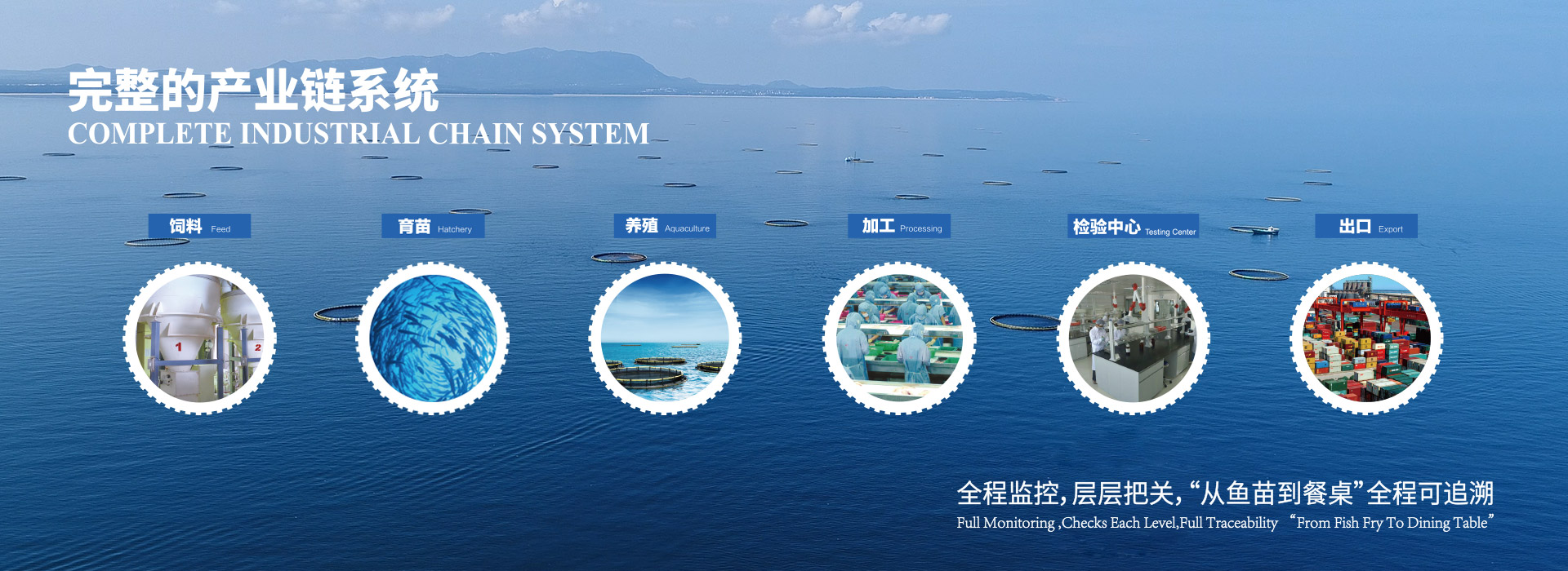 草莓视频免费在线观看品質